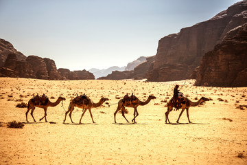 Camel caravan in dessert Wadi Rum Jordan