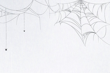 Spider web white background template vector