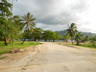 Fototapeta na wymiar Tropical road