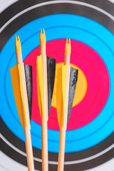 Arrows for archery against target on wall, closeup