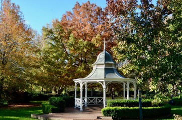 park in autumn