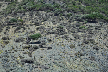 Obraz premium Rocky coast of the sea - granite erosion at Kipos beach, Samothraki island, Greece, Aegean sea