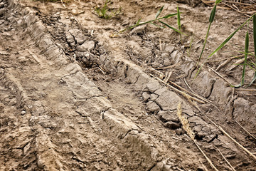 Dry soil outdoors, closeup view