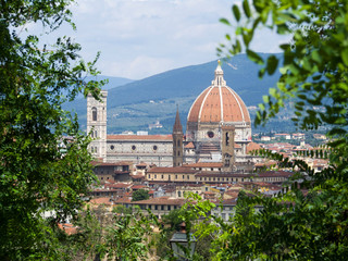 Fototapeta premium Italia, Toscana, Firenze, veduta della città e della cattedrale.