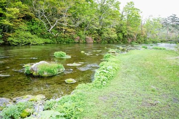 Along the swamp,Gudarinuma,Aomori