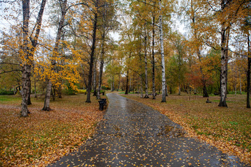 Autumn rainy day in the park.
