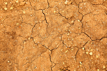 Dry soil outdoors, top view