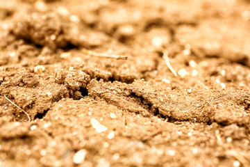 Dry soil outdoors, closeup view