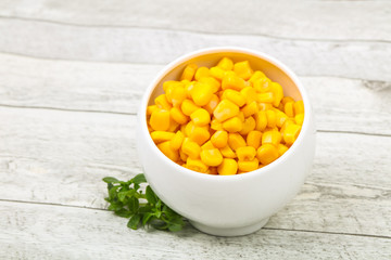 Young sweet corn