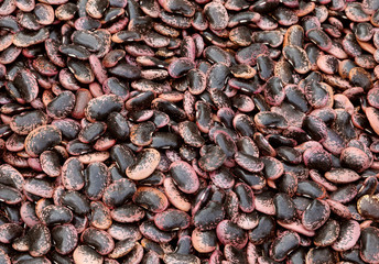 beans of a species called in Italy Pope beans or Fagioli del Pap