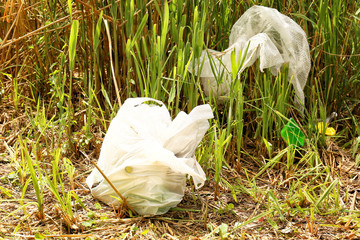 View of garbage outdoors. Concept of soil pollution