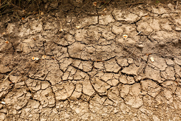 Dry soil outdoors, top view