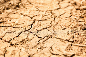 Dry soil outdoors, closeup view