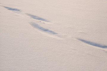 Shadows  on a snowy surface