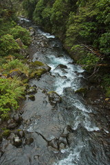 Fototapeta premium Stream at Whakapapa Nature Walk in Tongariro National Park,Manawatu-Wanganui Region on North Island of New Zealand 