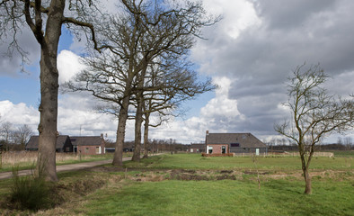 Newly build colony house. Koloniehuisje. Maatschappij van Weldadigheid Frederiksoord Drenthe Netherlands.  Panorama. Dirtroad. Lane structure.