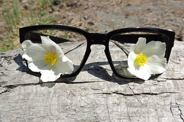 black frame glasses, white flowers raw board