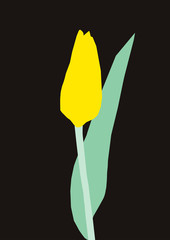 Tulip flat illustration on the black background. Minimalist floral card. Paper cutout flower