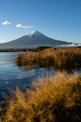 Mount Fuji view from Lake Kawaguchi, Yamanashi Prefecture, Japan. Mount Fuji is Japan tallest mountain and popular with both Japanese and foreign tourists.