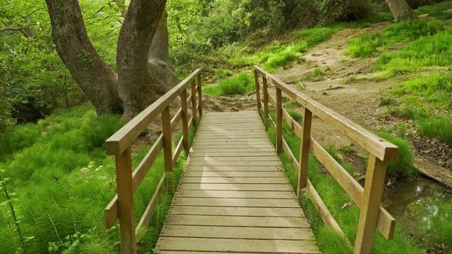 Footage from Parnitha forest, located near Athens, capital of Greece on spring, sunny day. Tilt shot of wooden pedestrian bridge in deep woods