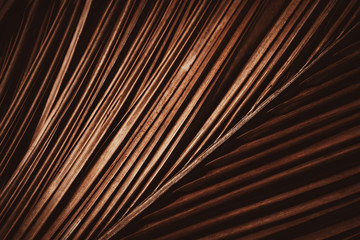 Palm leaf pattern texture abstract background.