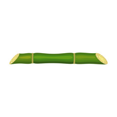 Stem sugar cane vector icon.Cartoon vector icon isolated on white background stem sugar cane.