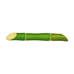 Stem sugar cane vector icon.Cartoon vector icon isolated on white background stem sugar cane.