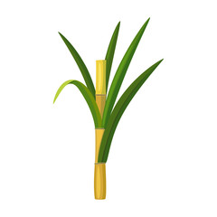 Stem sugar cane vector icon.Cartoon vector icon isolated on white background stem sugar cane.