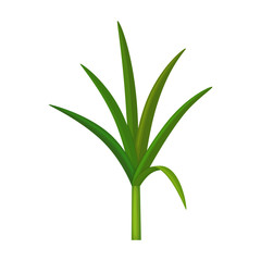 Leaf sugar cane vector icon.Cartoon vector icon isolated on white background leaf sugar cane.