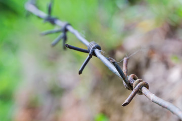 Segment of stretched old barbed wire closeup on blurred background