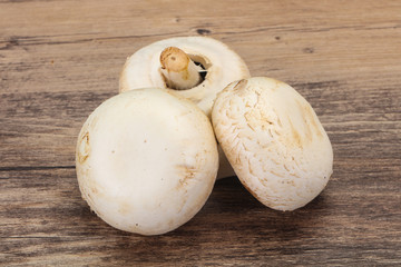 Raw Champignon heap for cooking