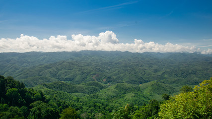 Fototapeta premium beautiful countryside of thailand.sunny afternoon.