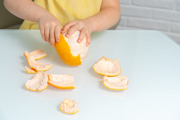 Obraz na płótnie Canvas 4 years old girl in a yellow blouse sits at a table in the kitchen and peels a grapefruit