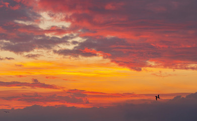 Volando al amancer