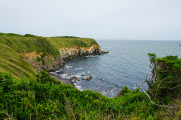 Fototapeta na wymiar 城ヶ島ハイキングコースから見る太平洋