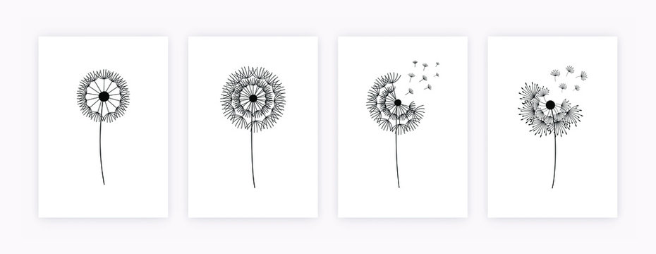 Set of hand drawn dandelion flowers. Abstract floral summer posters, wall art isolated on white background, minimalistic banners. Creative vector illustration