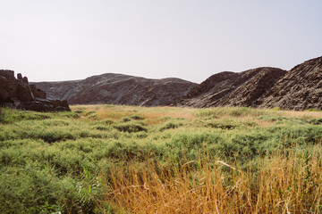 Afrikanische Graslandschaft bei Sonnenuntergang mit Felsen