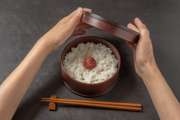 日の丸弁当Umeboshi with rice (Japanese pickles of plum)