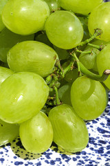 Fresh bunch of grapes on white and blue plate