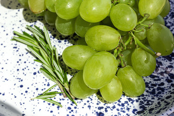 Fresh bunch of grapes on white and blue plate