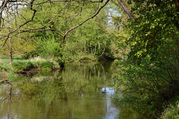 Böhme, Walsrode, Niedersachsen