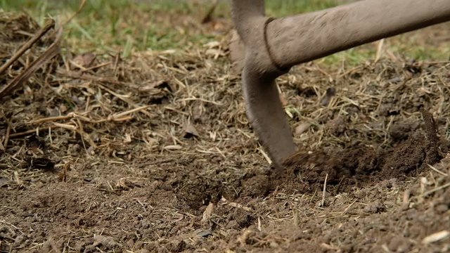 close up farmer with a pickaxe makes a hole in the ground for planting seedlings, slow motion. working the soil.