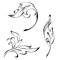 decorative stylized leaf with curls in black lines on a white background. set