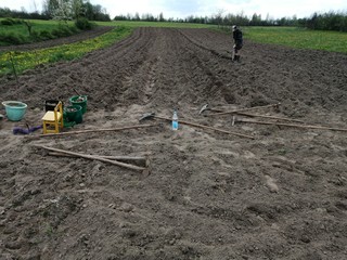 rake planting potato garden cottage