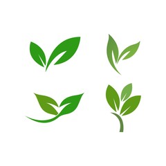 leaf logo