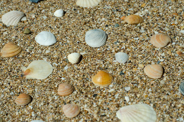 pebbles on sand