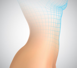 vector female body on a white background. photo realistic mesh