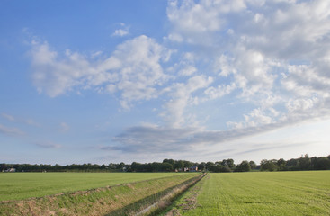 Fototapeta na wymiar Meadows Maatschappij van Weldadigheid Frederiksoord Drenthe Netherlands. Ditch. Fields
