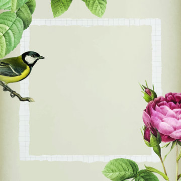 Sparkling rosebush and yellow great tit bird with a white frame on beige background vector