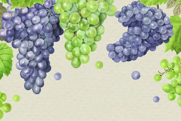 Hand drawn natural fresh grape frame vector